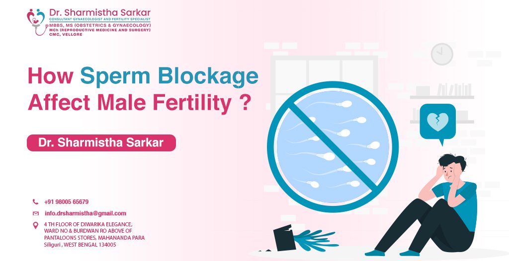 How Sperm Blockage Affects Male Fertiflity