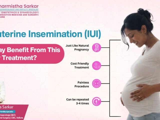 Intrauterine Insemination (IUI): Who May Benefit From This Fertility Treatment