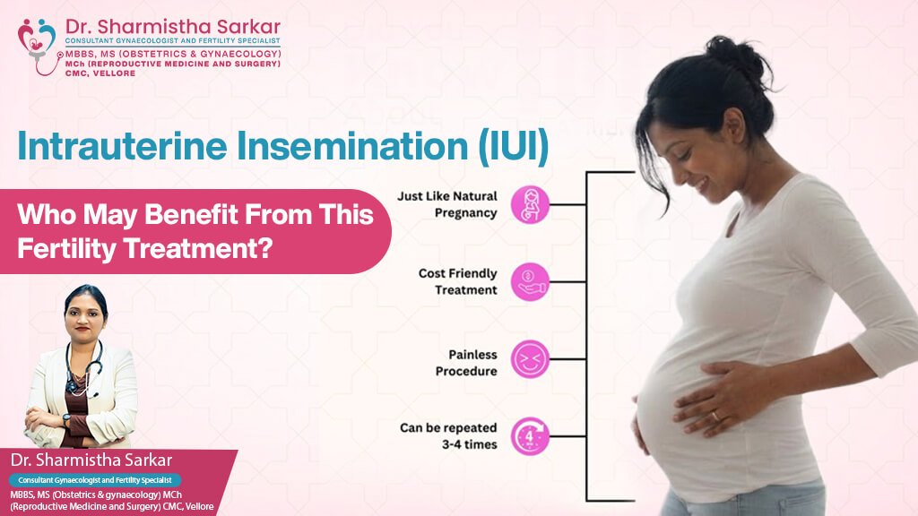Intrauterine Insemination (IUI): Who May Benefit From This Fertility Treatment