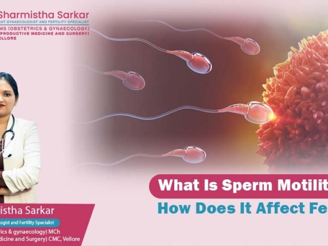 What Is Sperm Motility and How Does It Affect Fertility?