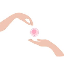 Egg Donation Center in Siliguri